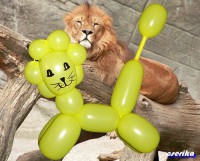 /album/gyerekmosoly/lufihajtogatas-015-jpg/